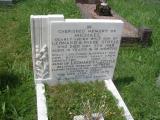 image of grave number 244527